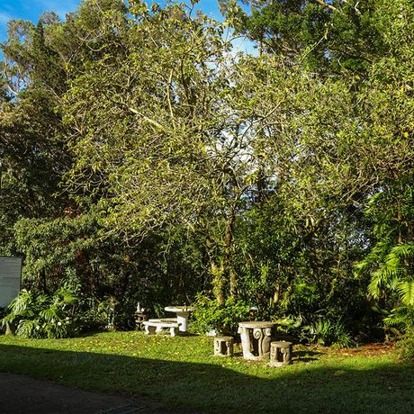 Hotel los Pinos Blick ins Grüne Blick ins Grüne