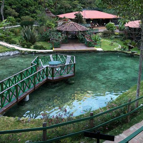 In Naturpools oder Teichen finden Sie Abkühlung.
