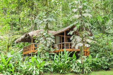 Pacuare Lodge Flussblick Suite Suite im Dschungel