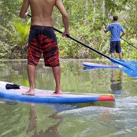 Gleiten Sie leise durch das ruhige Gewässer und lernen sie das vielfältige Ökosystem der Mangroven kennen.