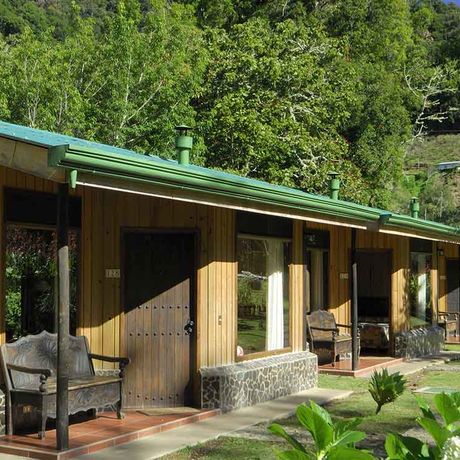 In üppiger Natur liegen die Bungalows und Cabinas