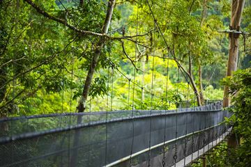 Pacuare Lodge Canopy Villa Hängebrücke im Dschungel