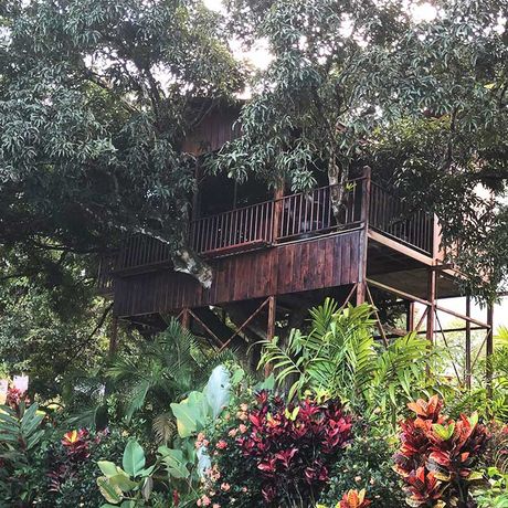 Costa Rica Baumhaus Vegetation hautnah Ob am Baumstamm oder auf Stelzen errichtet - die Vielfalt, die in in der Übernachtungskategorie Baumhaus finden sind grenzenlos.
