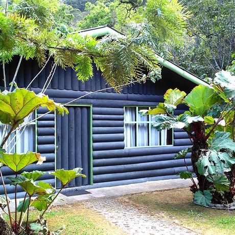 Blick auf einen einen Bungalow der Cabinas el Quetzal