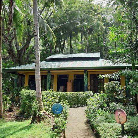 Costa-Rica-Ferienhaus-Palmen Eingesäumt in schöner Natur finden Sie Ferienhäuser.