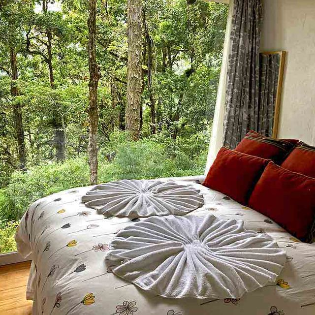 Bungalow & Cabina Dantica Cloud Forest Lodge Aussicht vom Zimmer