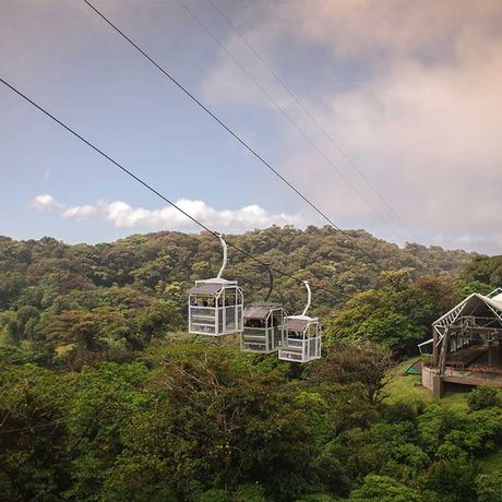 Seilbahnfahrt über dem Blätterdach des Nebelwaldes von Monteve Blick auf eine Seilbahn bei der Seilbahnfahrt über dem Blätterdach des Nebelwaldes von Monteverde