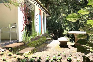 Bungalow Dantica Cloud Forest Lodge Bungalow Standard 07