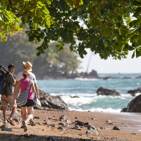 Costa Rica Strandexkursion Entdecken Sie die wilde Natur an den unberührten Stränden Ballenas