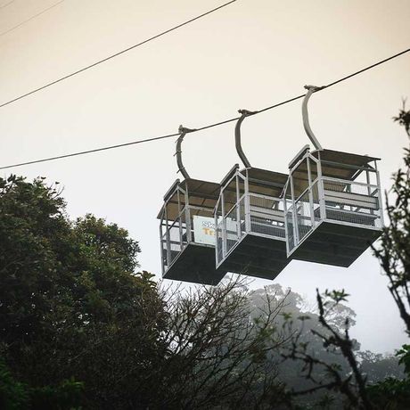 Seilbahnfahrt über dem Blätterdach des Nebelwaldes von Monteve Blick auf eine Seilbahn bei der Seilbahnfahrt über dem Blätterdach des Nebelwaldes von Monteverde