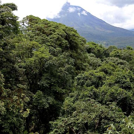 Vulkan Arenal Blick über Regenwälder zum Vulkan Arenal