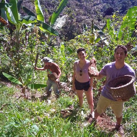 Besuch der familiären Ökofarm Finca Madrina 02 Führung Besuch der familiären Ökofarm Finca Madrina