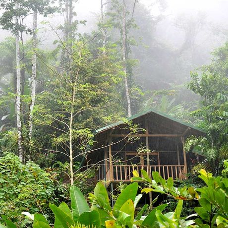 Dschungel-Lodge Pacuare Outdoor Center Aussenansicht 03 Blick auf die Dschungel-Lodge Pacuare Outdoor Center