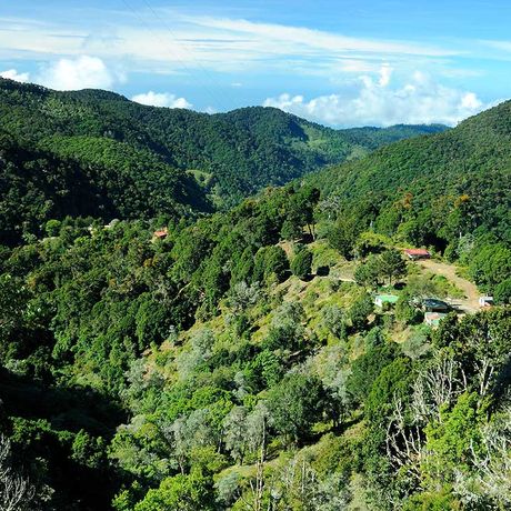 Privatreservat des Hotels Savegre
