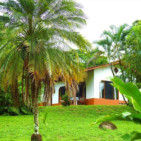 Blick auf den Aussenbereich der Bungalows Diquis del Sur