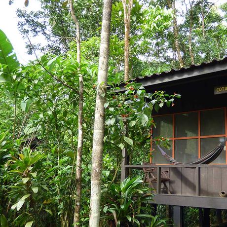 Dschungel-Lodge Yatama Ecolodge Bungalow mit Waldblick 02 Aussenansicht eines Bungalows mit Waldblick in der Dschungel-Lodge Yatama Ecolodge