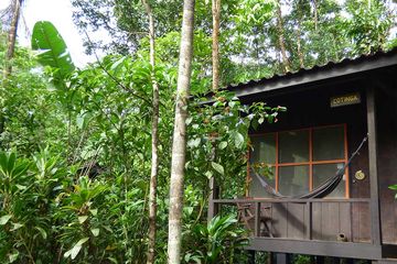 Dschungel-Lodge Yatama Ecolodge Bungalow mit Waldblick 02