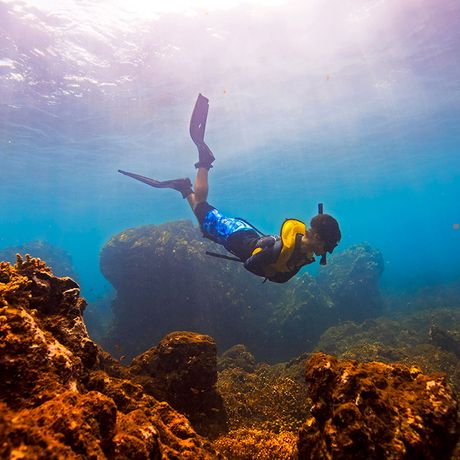 Beobachten sie wie Wale und Delfine aus dem Meer springen und erleben sie Gänsehautmomente in der freien Natur auf dem Ozean des Meeresnationalparks Ballena.