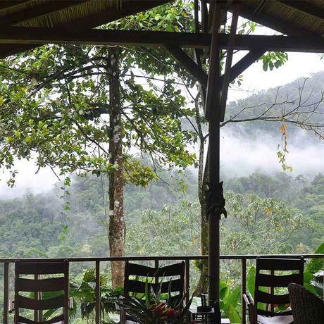 Costa-Rica-Dschungel-Lodge-Ausblick Majästetischer Ausblick auf den Dschungel