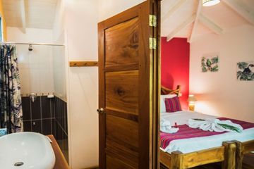 Bungalows-und-Cabinas-Pequeño-Gecko-Verde-Standardzimmer 01