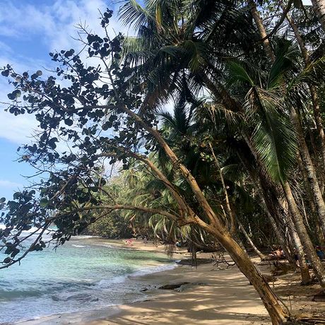 Die bunte Tier- und Pflanzenwelt eines der schönsten Nationalparks Costa Ricas