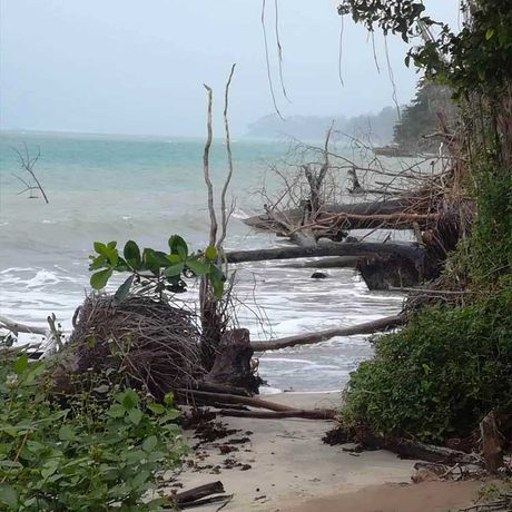 Naturkundliche Exkursion im Nationalpark Cahuita 04 Blick auf das Meer bei der naturkundlichen Exkursion im Nationalpark Cahuita