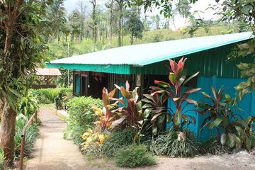 Bungalow und Cabinas Posada Río Celeste Standardzimmer 03