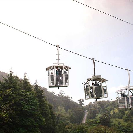 Seilbahnfahrt über dem Blätterdach des Nebelwaldes von Monteve Blick auf eine Seilbahn bei der Seilbahnfahrt über dem Blätterdach des Nebelwaldes von Monteverde