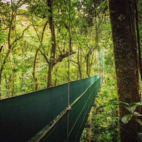 Hängebrückentour La Fortuna 01 Blick auf eine Hängebrück bei der Hängebrückentour La Fortuna