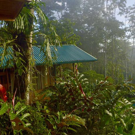 Dschungel-Lodge Pacuare Outdoor Center Aussenansicht 01 Blick auf die Dschungel-Lodge Pacuare Outdoor Center