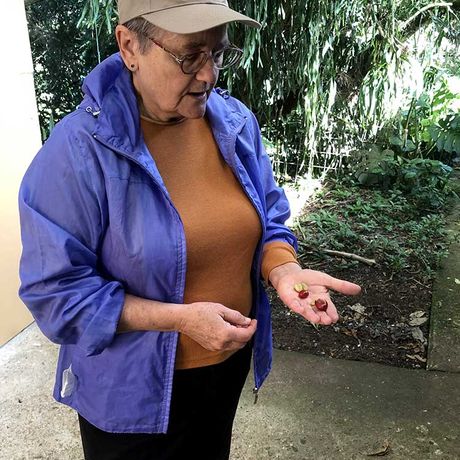 Besichtigen Sie die biologische Finca Cristina und tauchen Sie ein in die Welt des qualitativ hochwertigen Arabica-Kaffees
