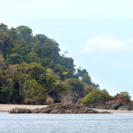 Costa Rica Dichter Dschungel In Ballena erwartet Sie üppiger Urwald an weiten Stränden.