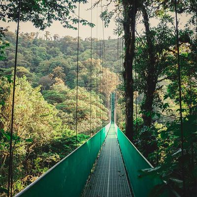Hängebrückentour La Fortuna 03