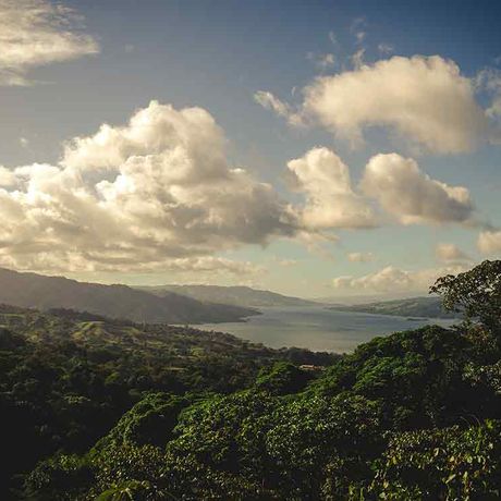 Canopy-und-Zipline-Arenal 