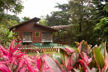 Hotel los Pinos Juniorzimmer Außenansicht