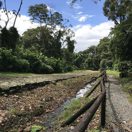 Blick auf einen Wanderweg bei der Exkursion zur Ausgrabungsstätte Guayabo