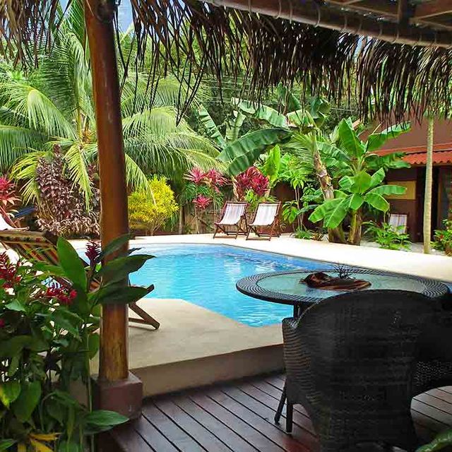 Pension Samara Palm Lodge Poollounge