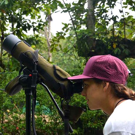 Costa Rica Örtliche Führer 05