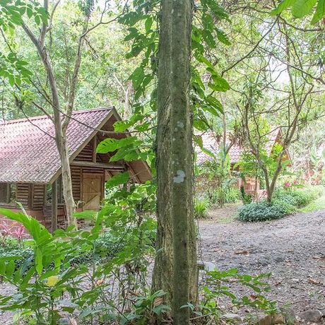 Blick auf einen Bungalow der Bungalow + Cabinas Arenal Oasis