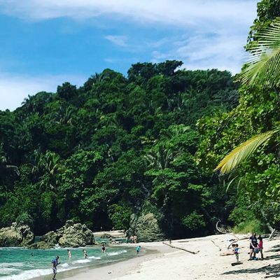 Costa Rica Strand und Dschungel