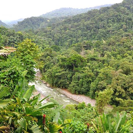 Dschungel-Lodge Pacuare Outdoor Center Rafting Fluss 01 Blick auf den Fluss nahe der Dschungel-Lodge Pacuare Outdoor Center