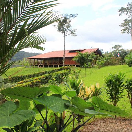 Bungalow Anita Rainforest Lodge Restaurant 01 Blick auf das Restaurant der Bungalow Anita Rainforest Lodge