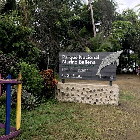 Entdecken Sie den Meeresnationalpark Ballena und seine fantastische Flora und Fauna zwischen Strand, Mangroven und Felsküste