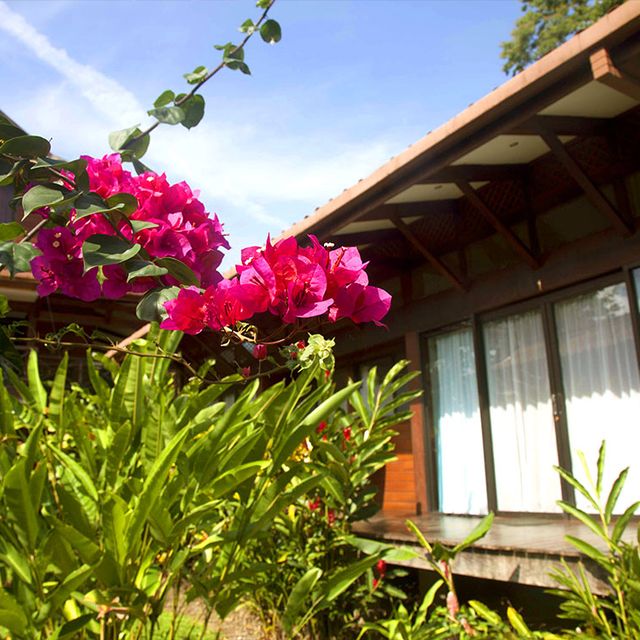 Strandunterkunft Kenaki Lodge Aussenansicht 02