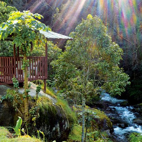 Blick auf den Aussenbereich der Bungalows Cabinas el Quetzal