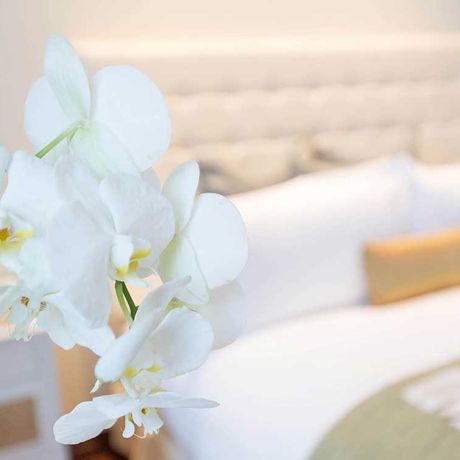 Blick auf eine Blume des Standardzimmers des Hotel Intercontinental