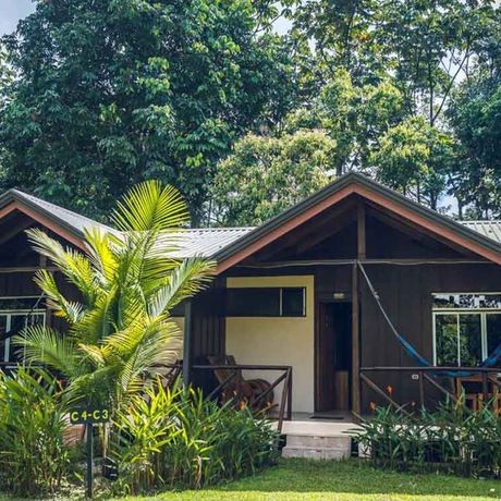 Costa-Rica-Ferienhaus-Natur Die Ferienhäuser sind eingebettet in üppiger Natur.