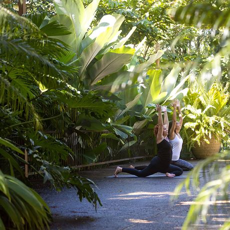 Resort Arenas del Mar Yoga Yoga