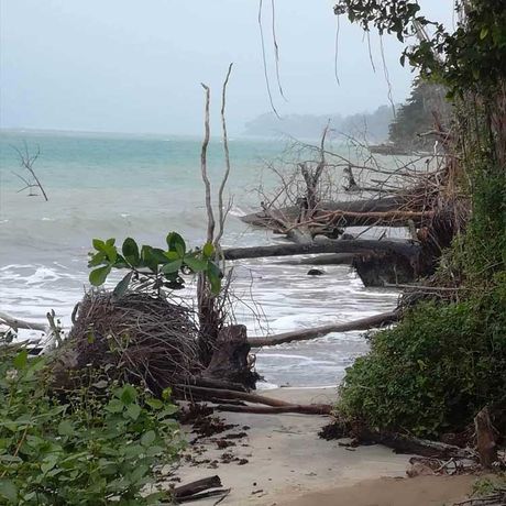 Blick auf den Strand beim Tagesausflug Schnorcheln und Wanderung im Nationalpark Cahuita