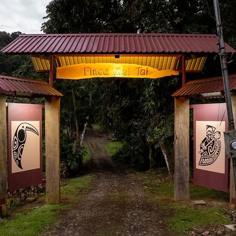 Finca Mei Tai Eingang Blick auf den Eingang